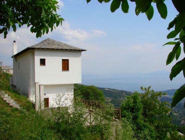 Traditional House Makrinitsa Exterior photo